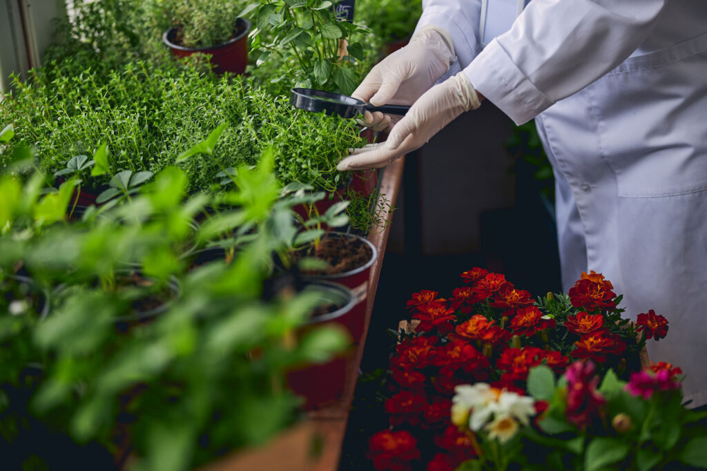 Horticulture